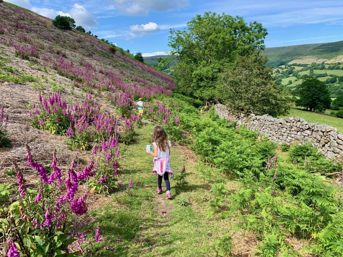 Black Mountains Stylish Hideaway, Nr Crickhowell Llanbedr  Zewnętrze zdjęcie